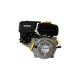 Motor Mpower 9hp c/reductor, 6:1 con EPA